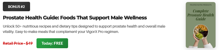 VigorX Pro