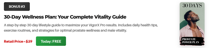 VigorX Pro