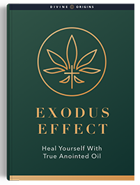 Exodus Effect