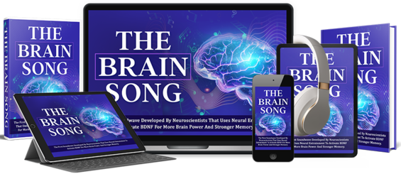 The Brain Song