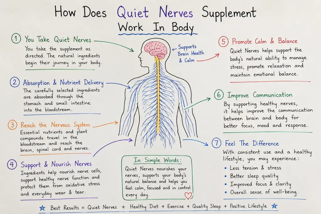 Quiet Nerves woking